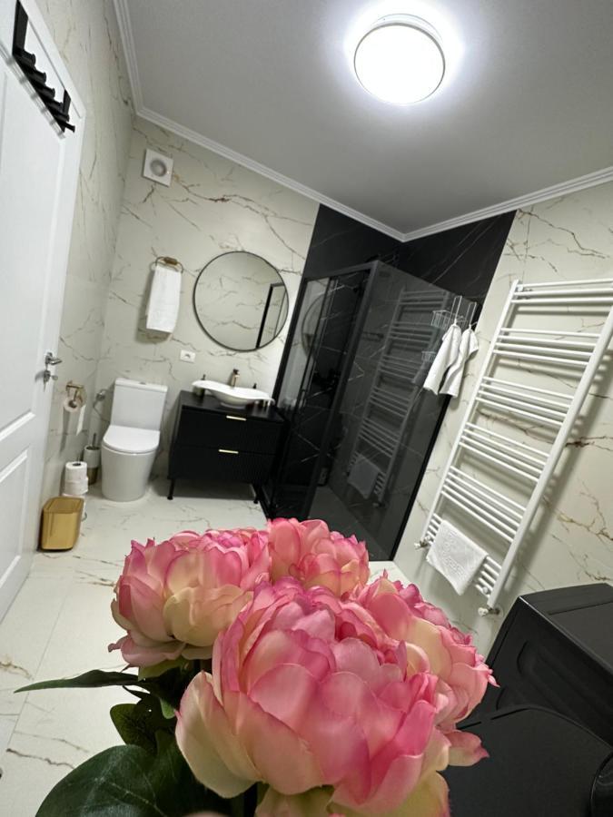 Apartament Bisera Timişoara Exterior foto
